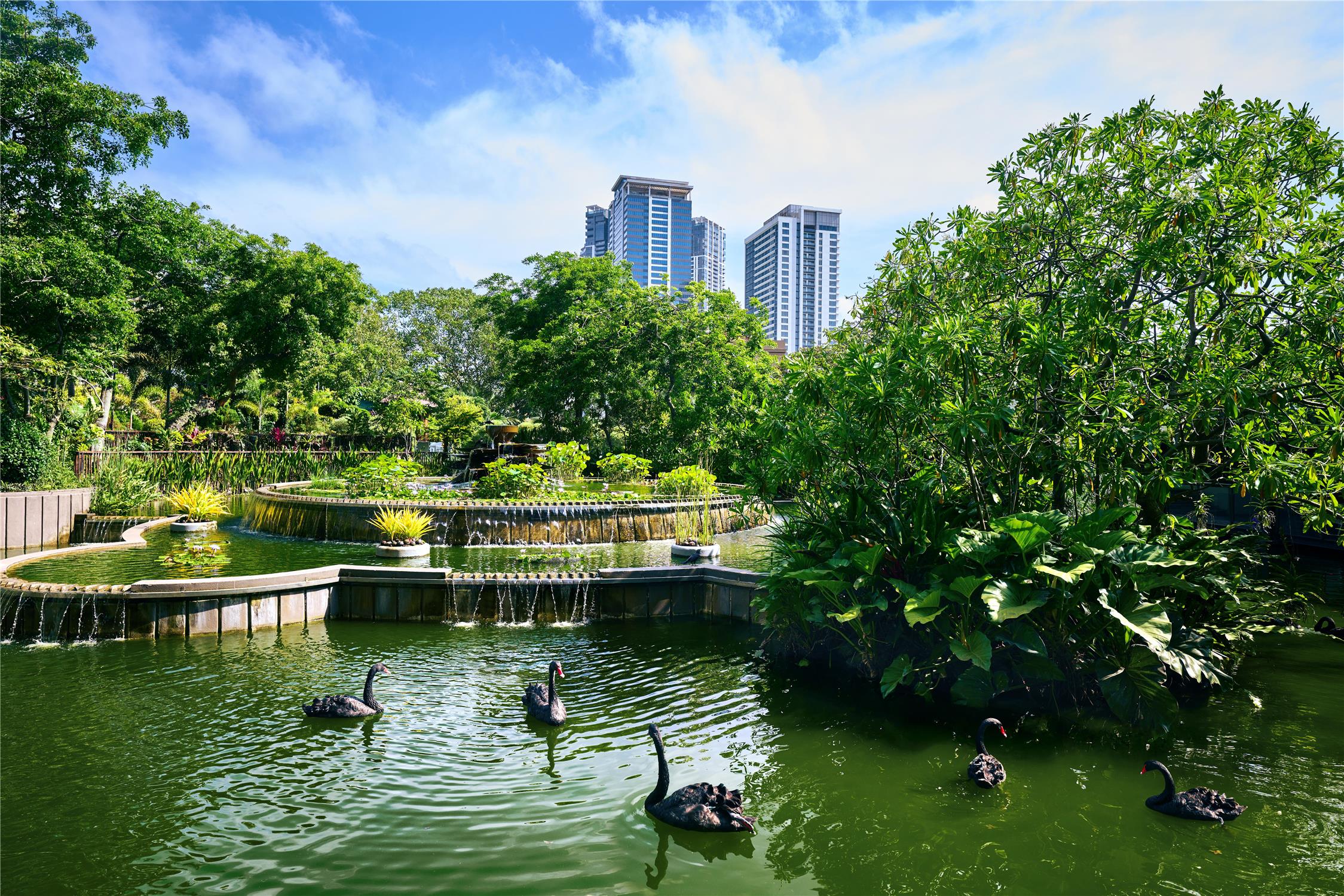 Hilton Colombo Hotel 2