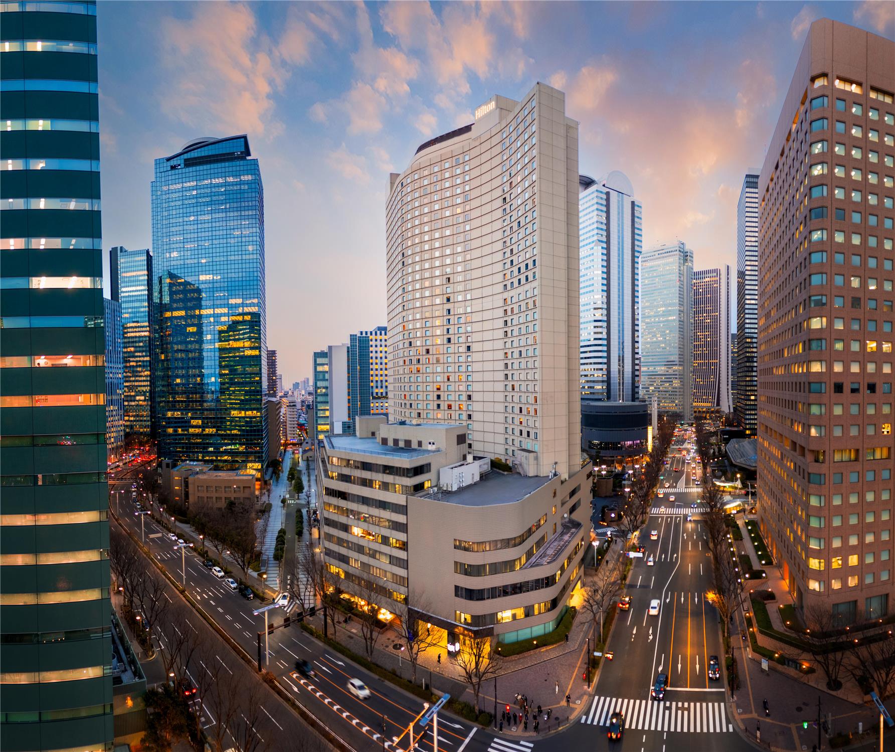 Hilton Tokyo Hotel 1