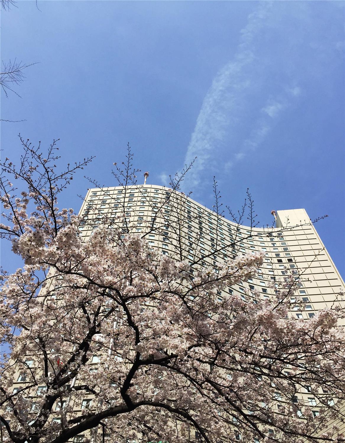 Hilton Tokyo Hotel 2