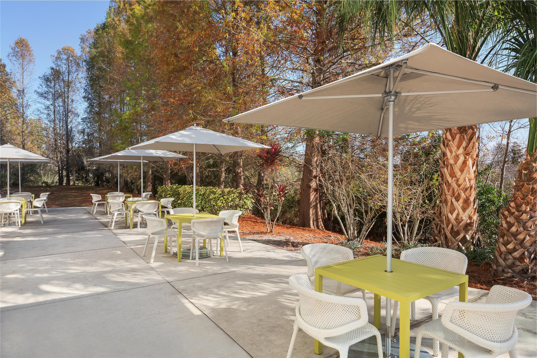 Hilton Garden Inn Tampa North 2