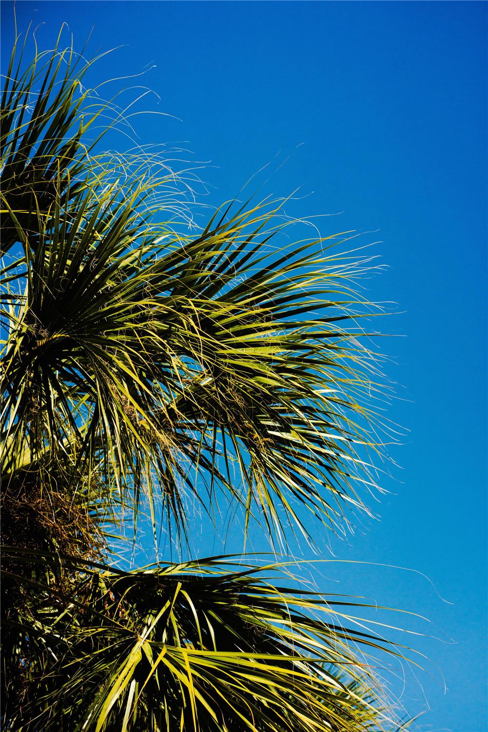 DoubleTree by Hilton Orlando Theme Park Resort 1