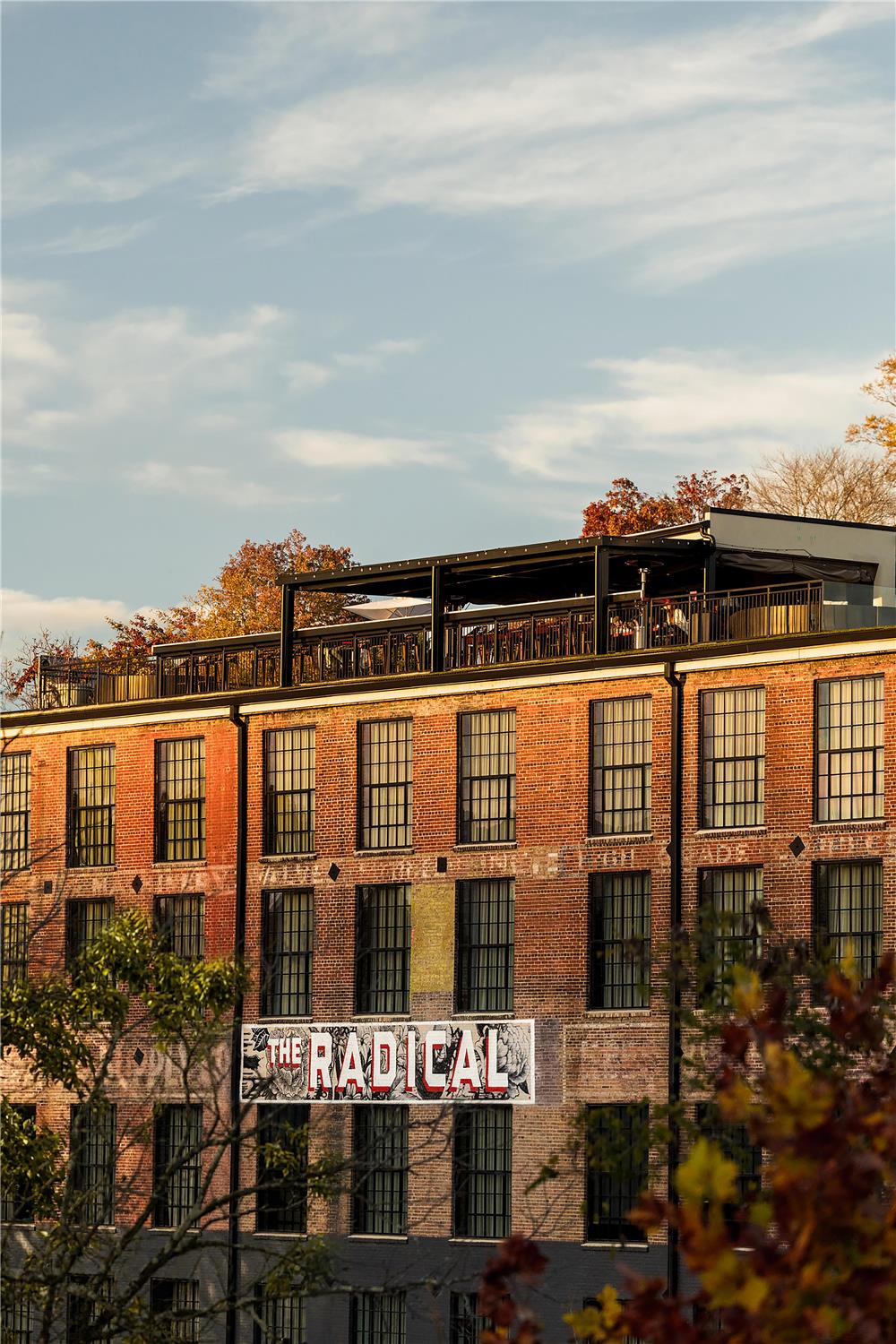 The Radical Asheville, Tapestry Collection by Hilton 2