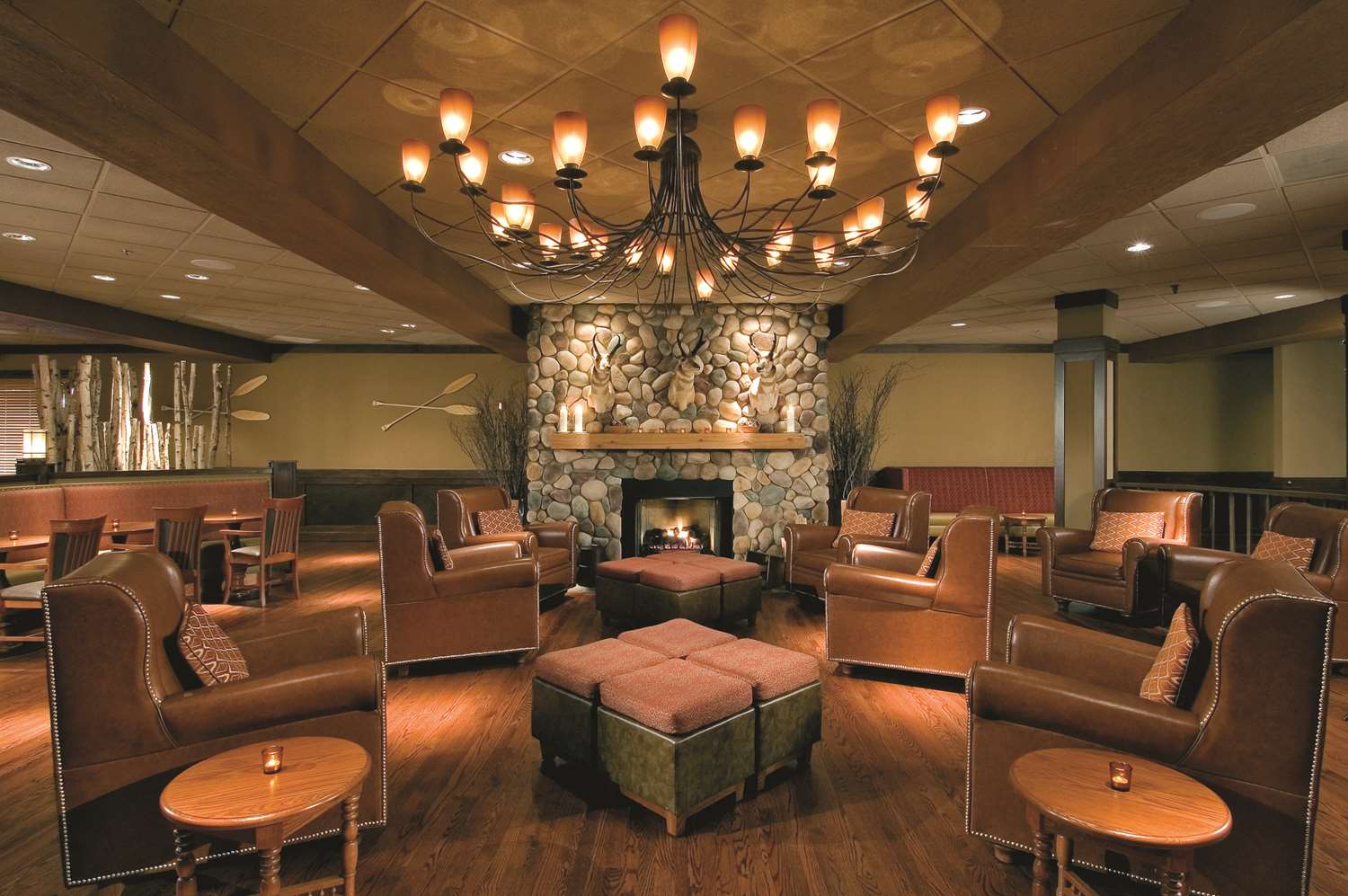 DoubleTree by Hilton Chicago - Arlington Heights 2