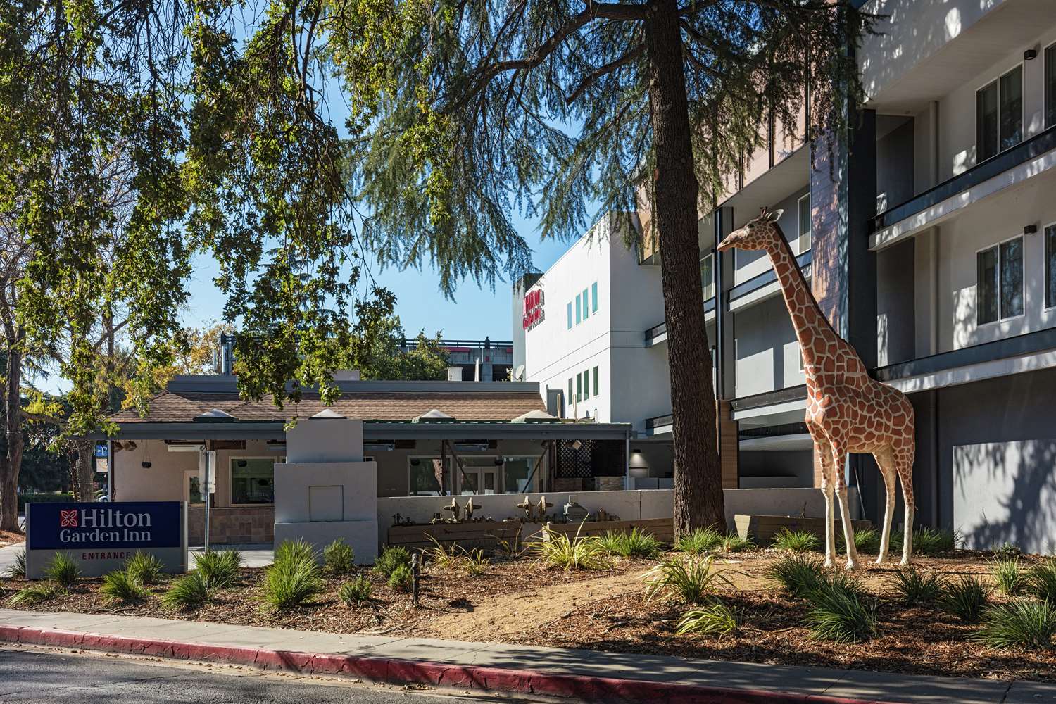 Hilton Garden Inn Davis Downtown 2