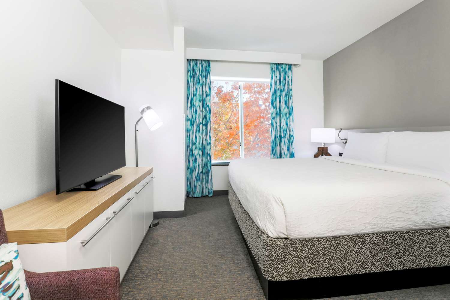 1 Bedroom Suite