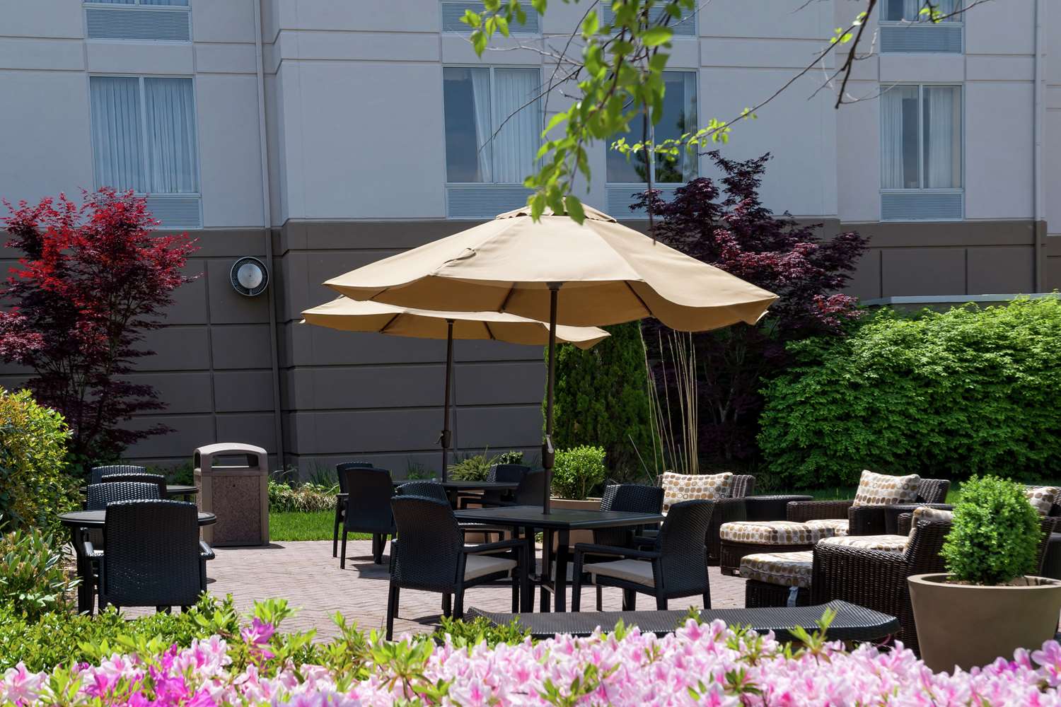 Hilton Garden Inn Newport News 2