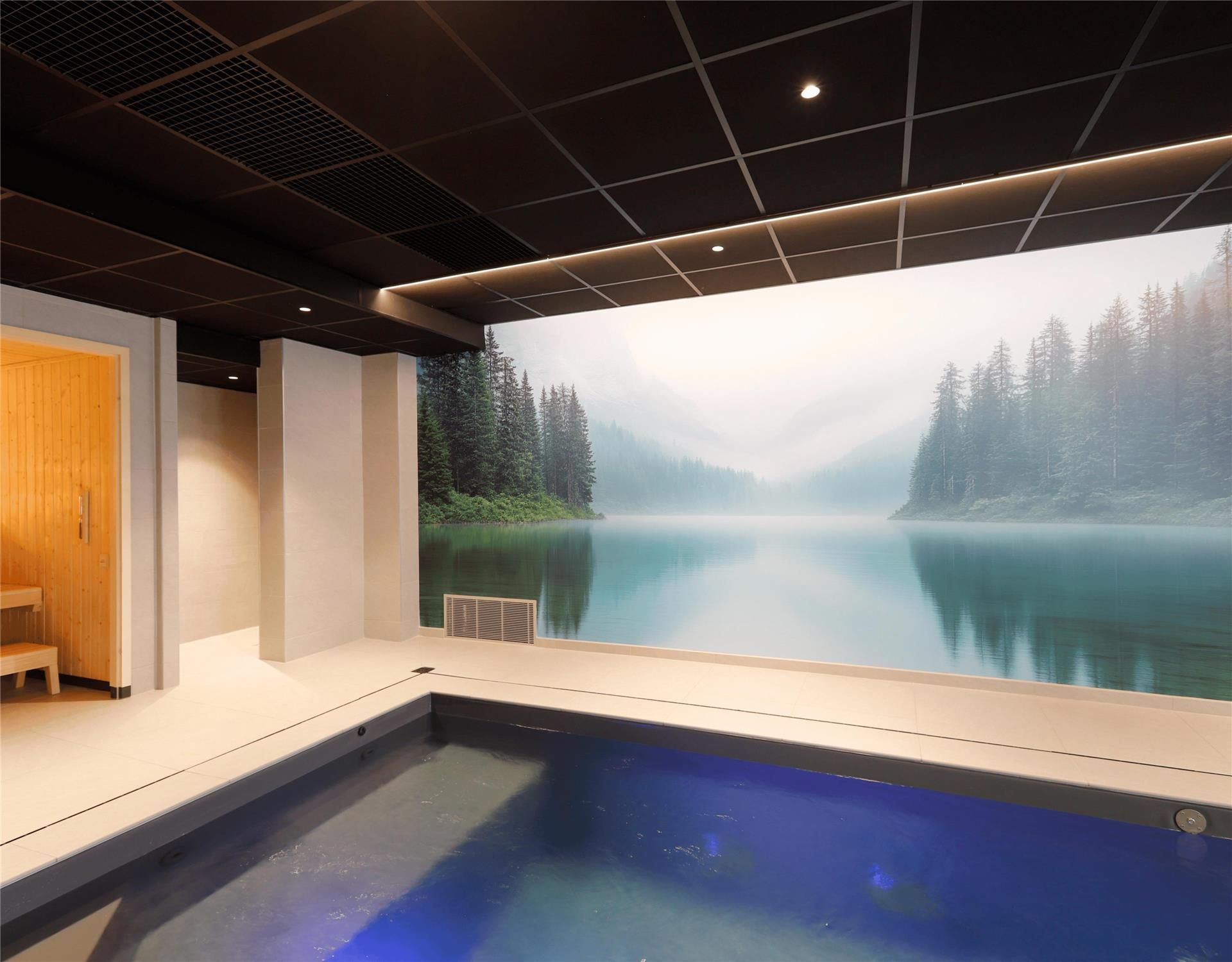 Kyriad Montbéliard Sochaux Hôtel & Spa 1
