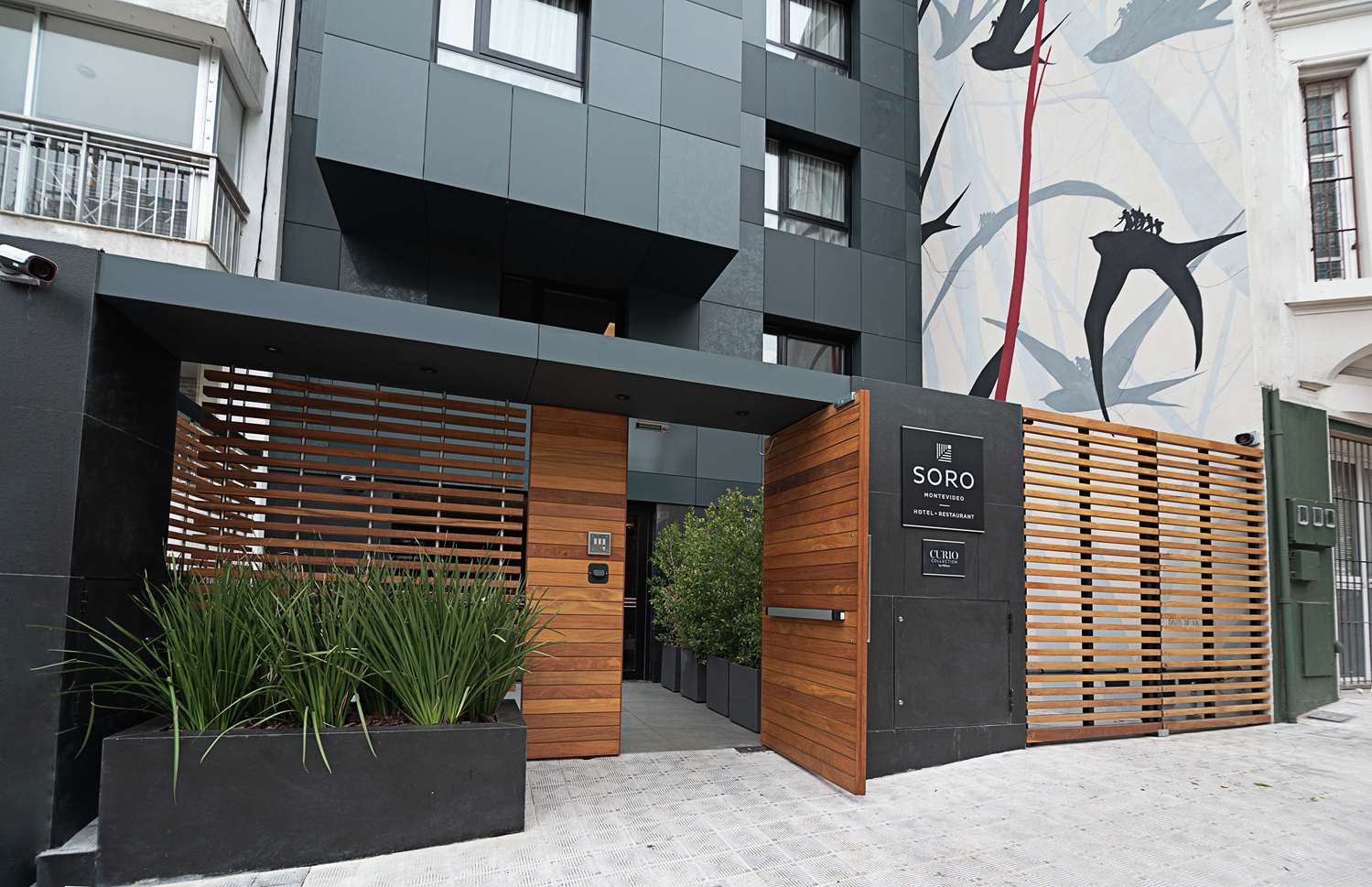 Soro Montevideo, Curio Collection By Hilton 2