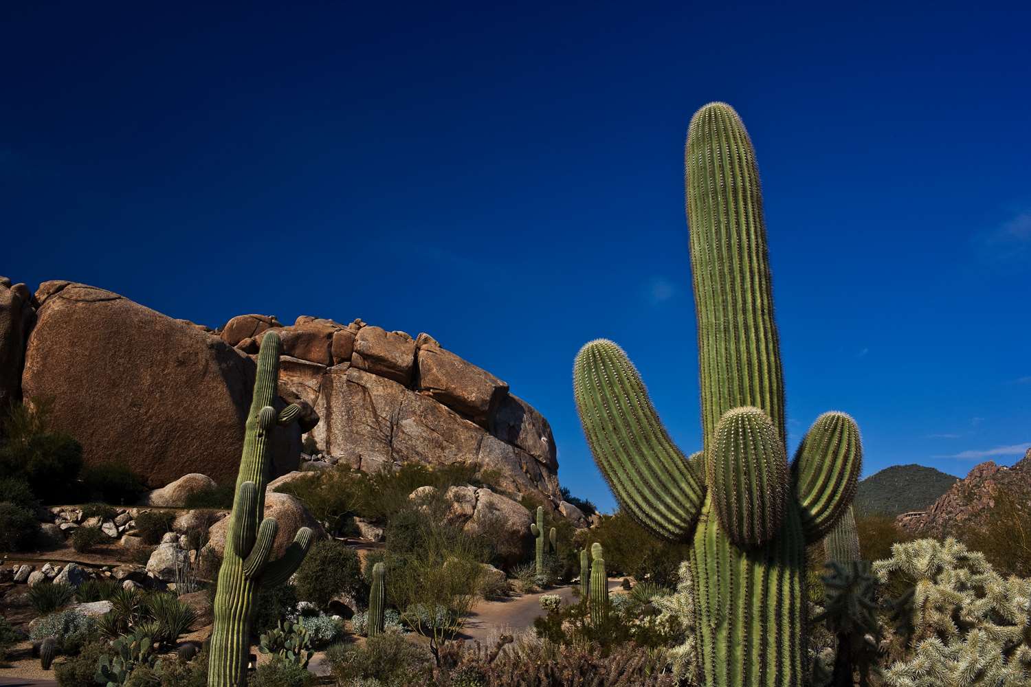 Boulders Resort & Spa Scottsdale, Curio Collection by Hilton 2