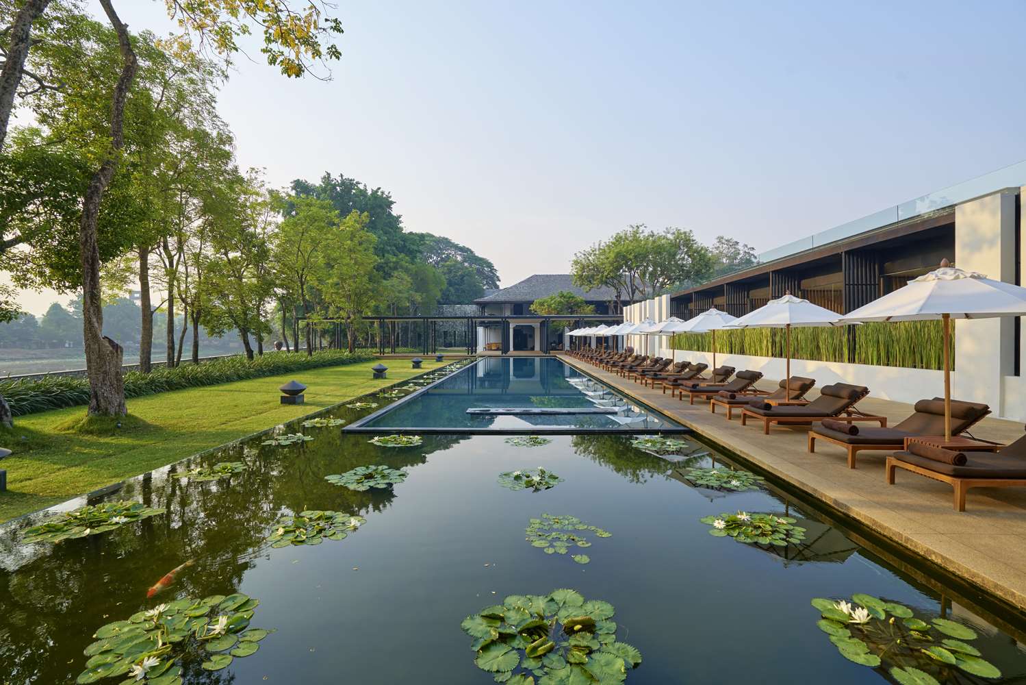 Anantara Chiang Mai Resort 1