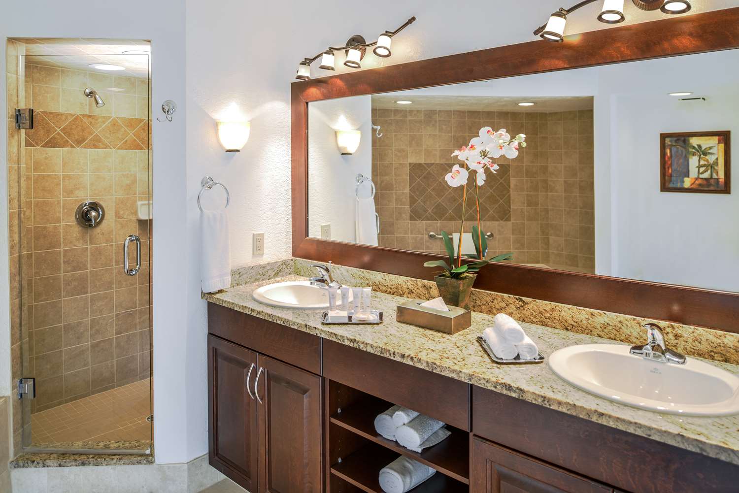 1 dormitorio suite