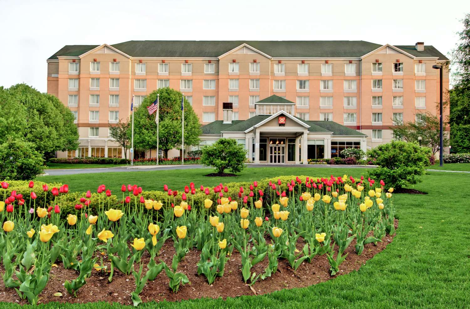 Hilton Garden Inn Albany Airport 1