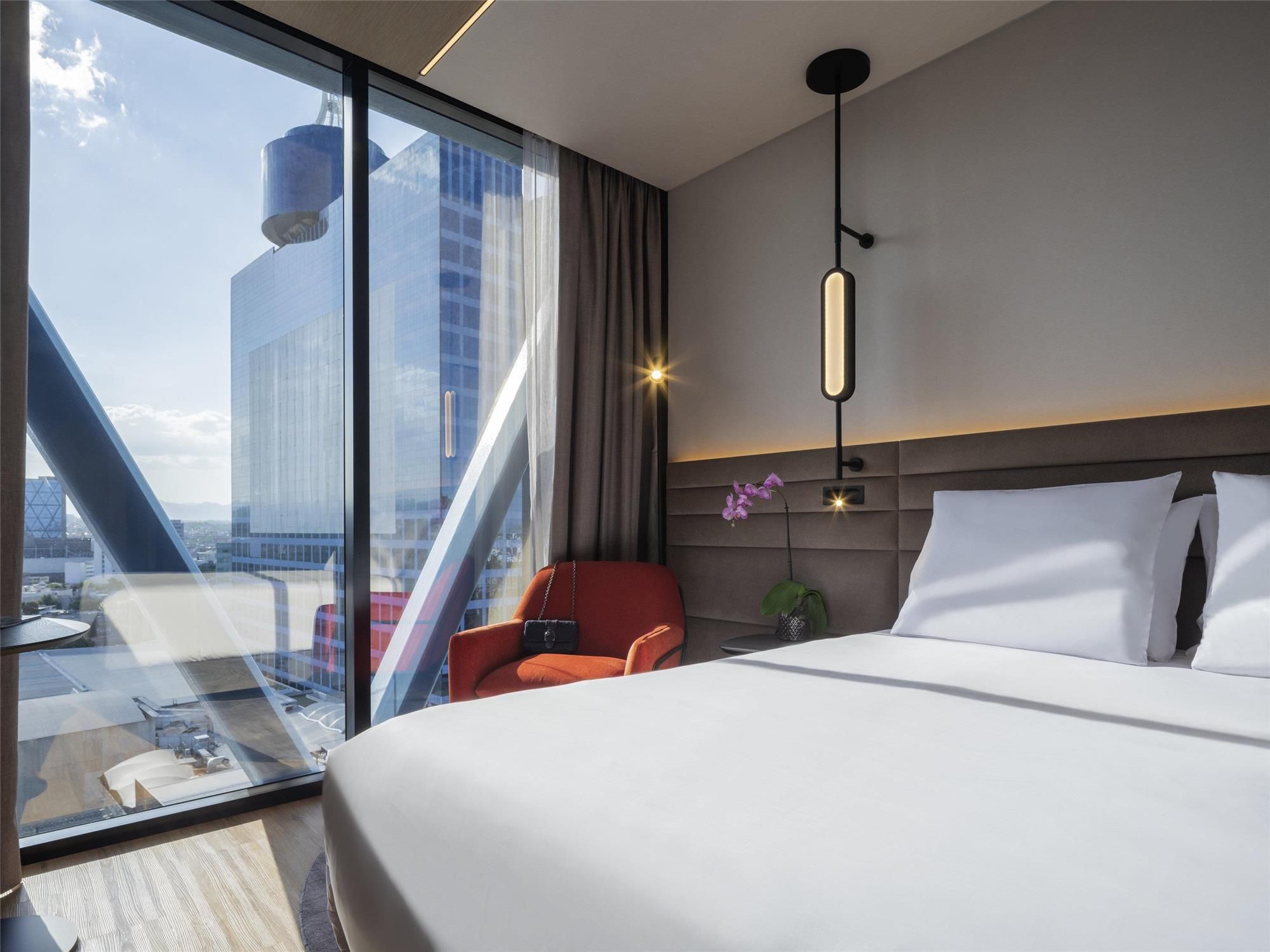 Executive Room with View