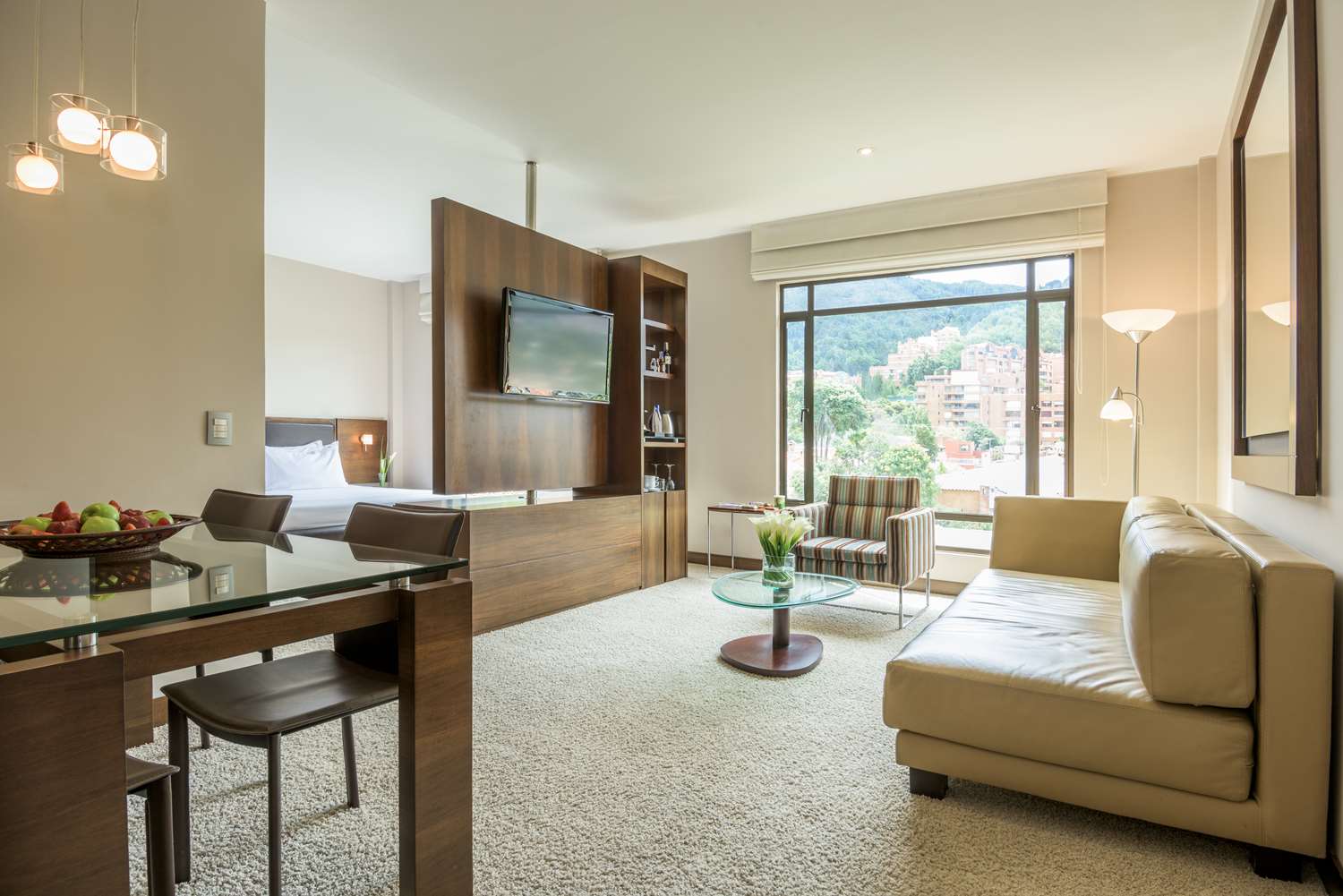 Suite, junior, terraza