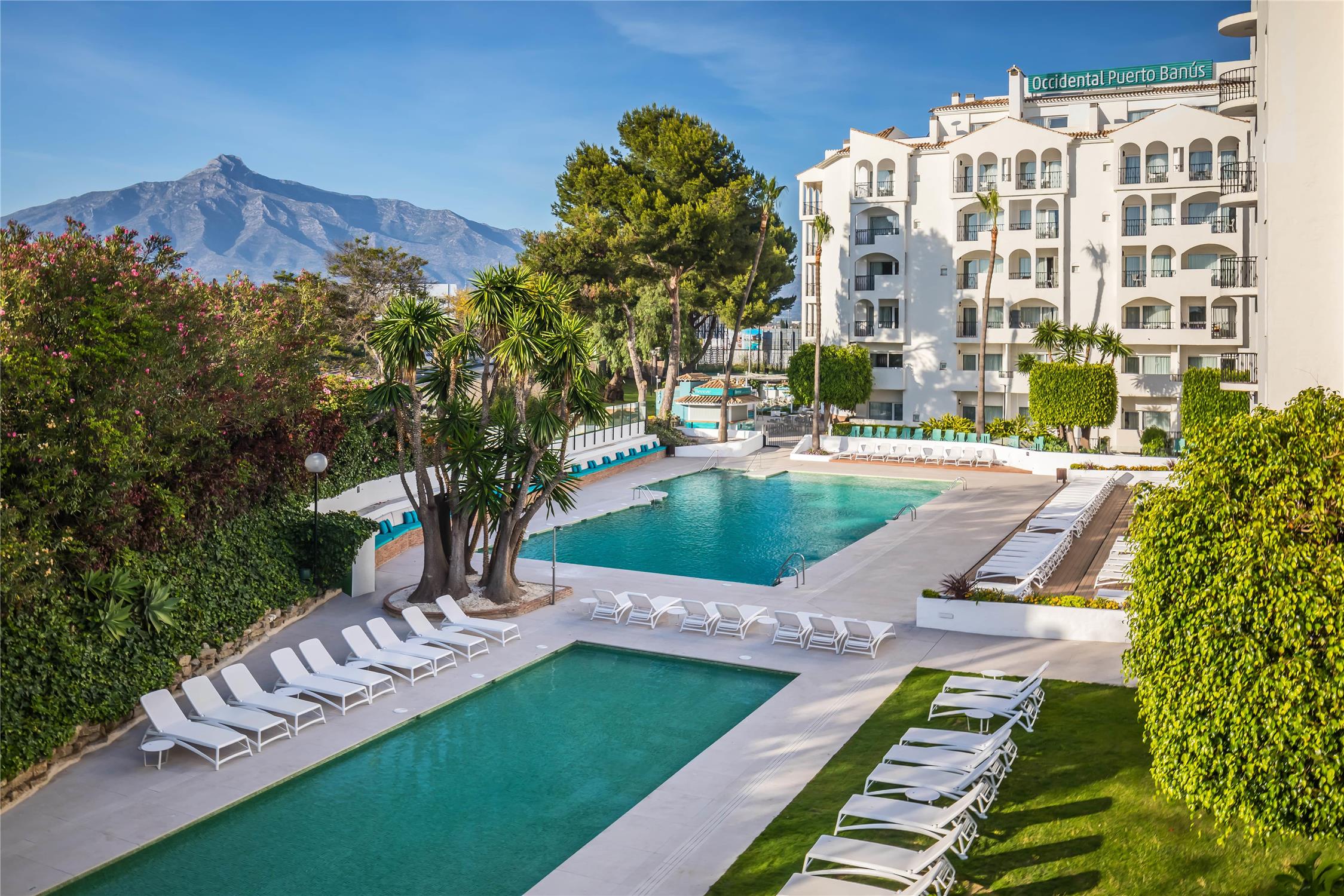 Occidental Puerto Banus 2