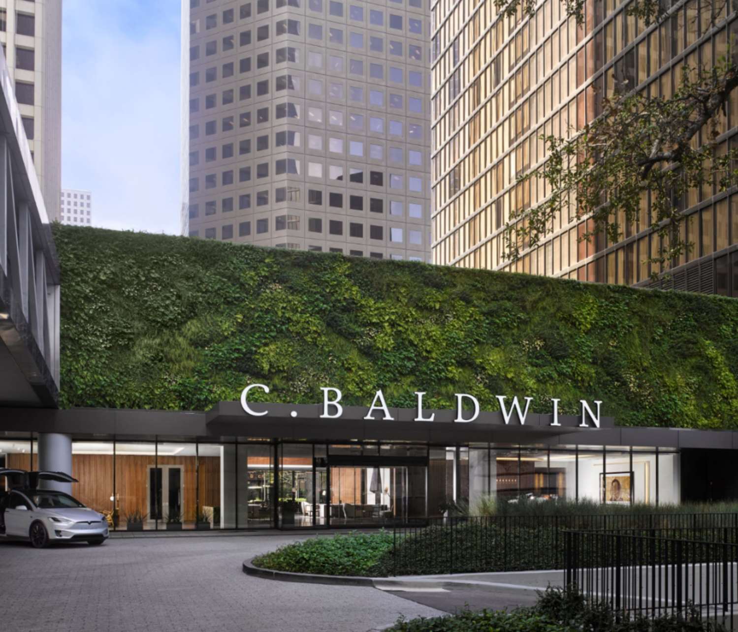 C. Baldwin, Curio Collection by Hilton 2