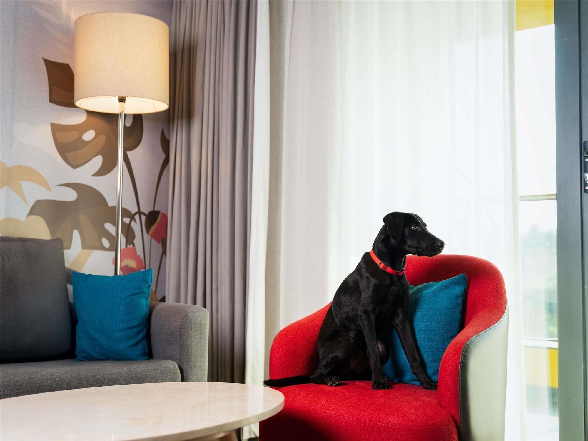 ibis Styles Mysuru 2