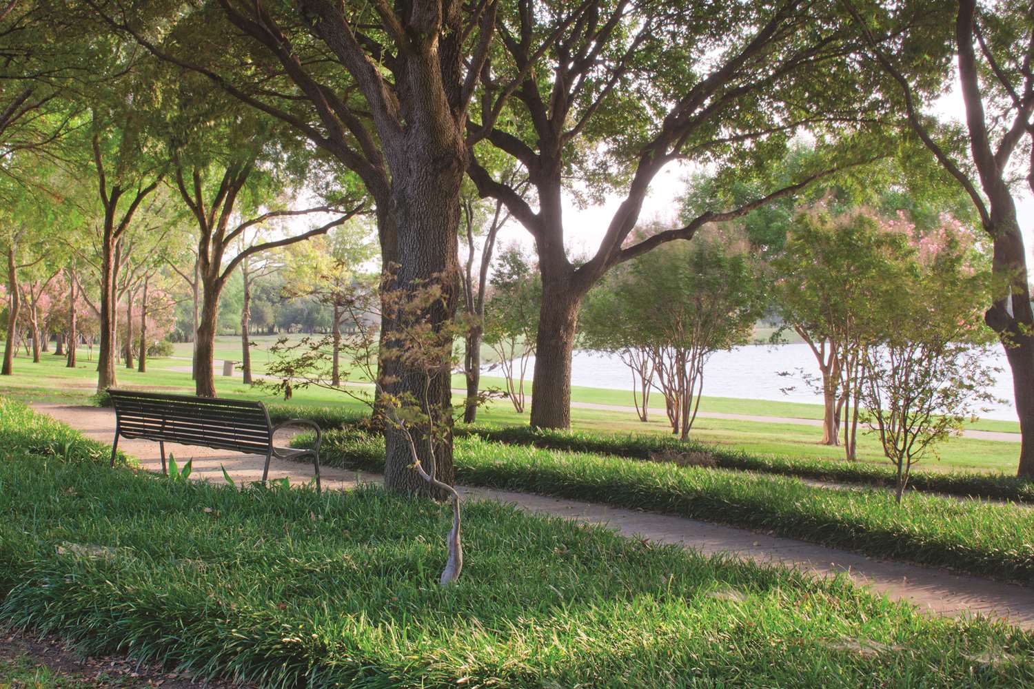 DoubleTree by Hilton Dallas - Farmers Branch 2