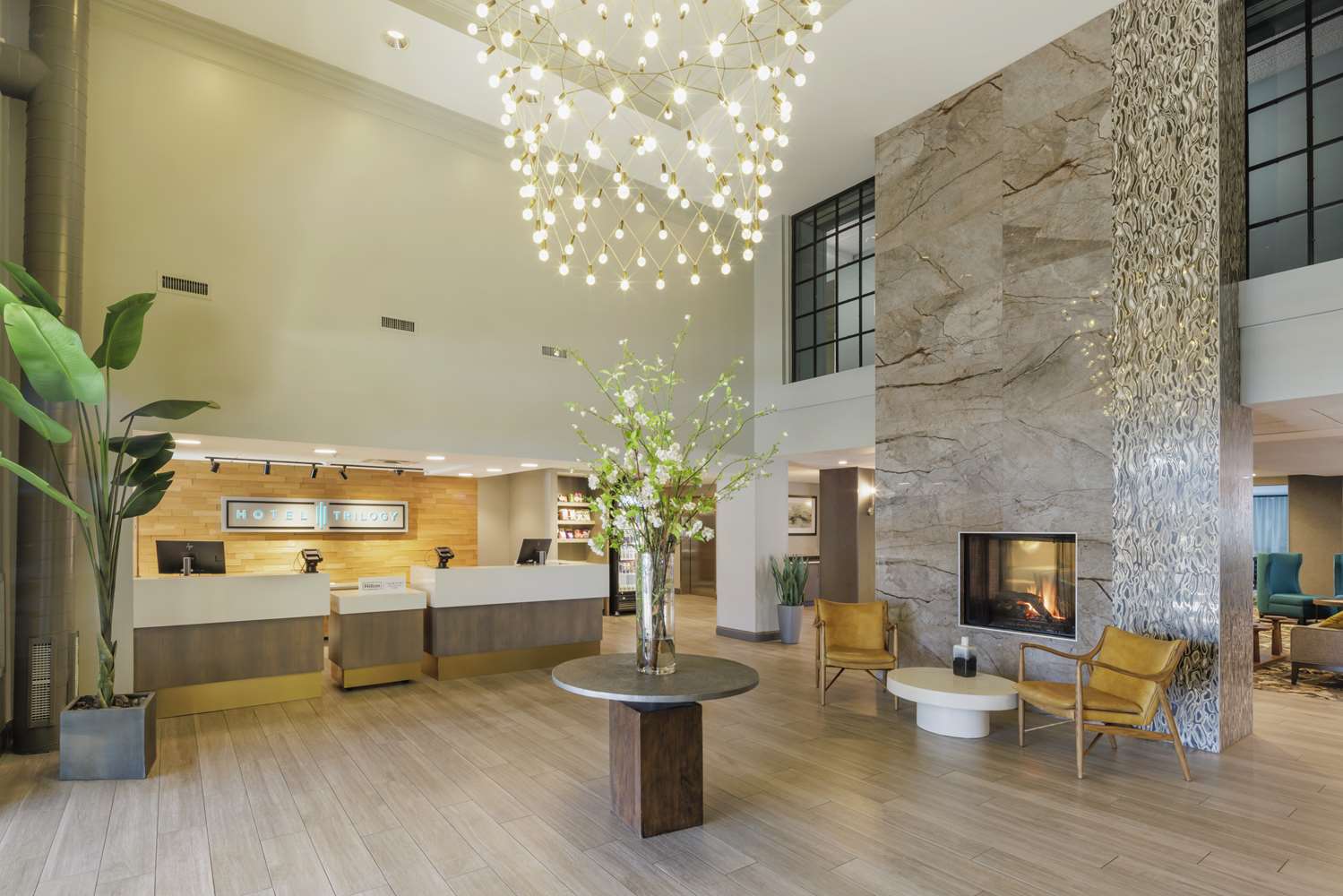 Hotel Trilogy Albany Airport, Tapestry Collection by Hilton 1