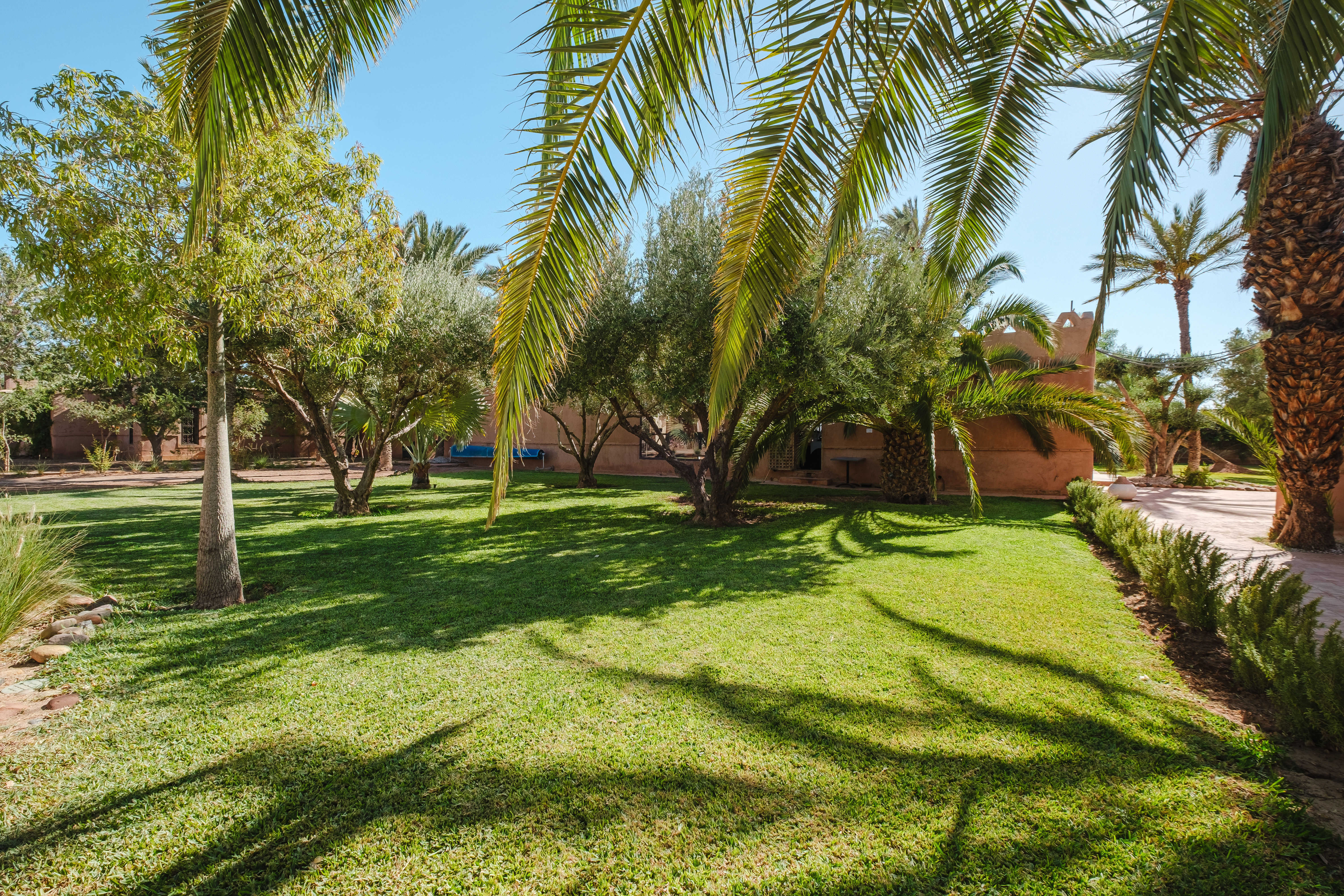Dar 55 - Berber House - Boutique Hôtel & SPA 2