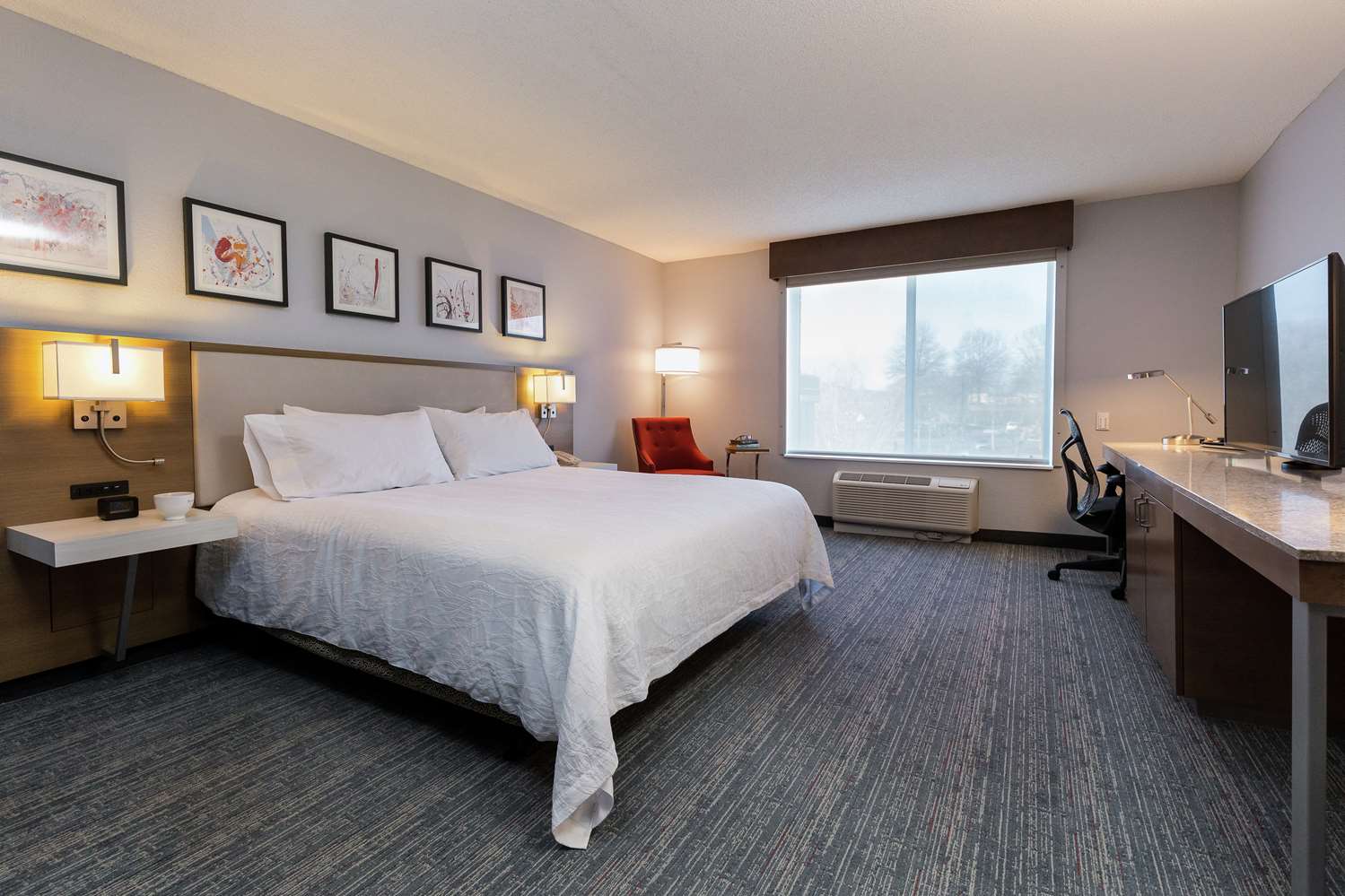 1 king bed junior suite with sofabed