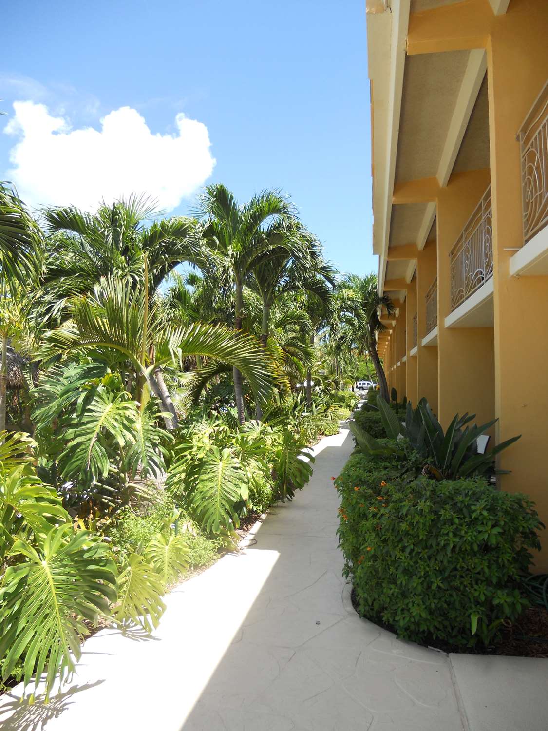 Hampton Inn Key Largo, FL 2