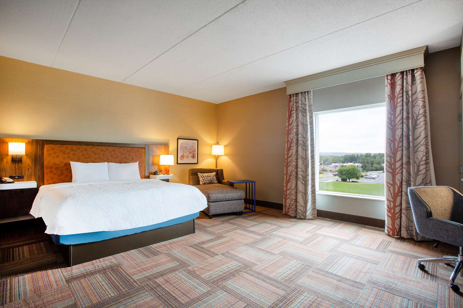 Deluxe Non-smoking Room
