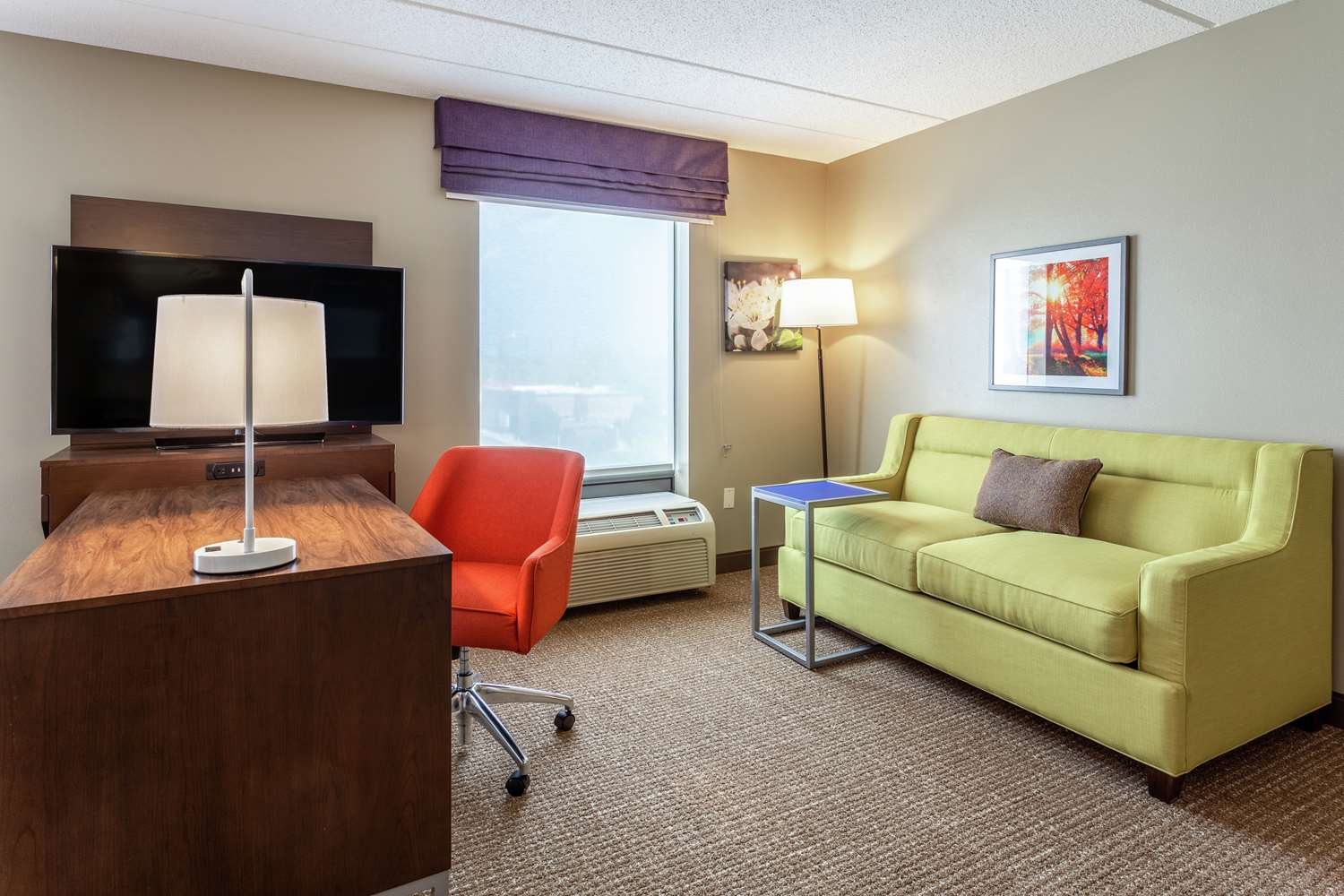Non-smoking Suite