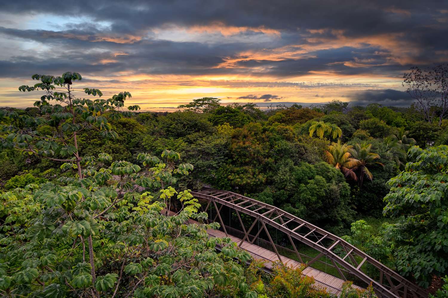 Botanika Osa Peninsula, Curio Collection By Hilton 2