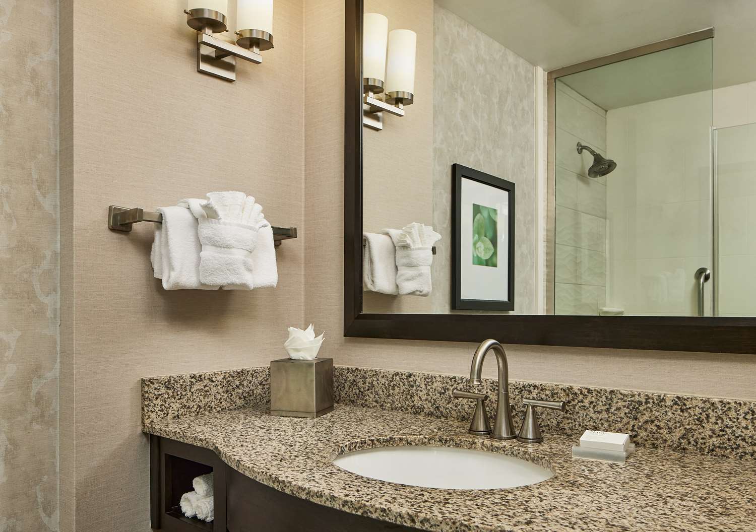1 Bedroom Suite