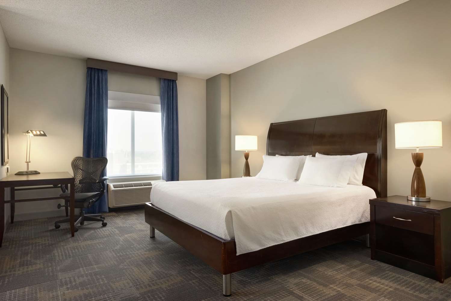 1 King Bed Executive