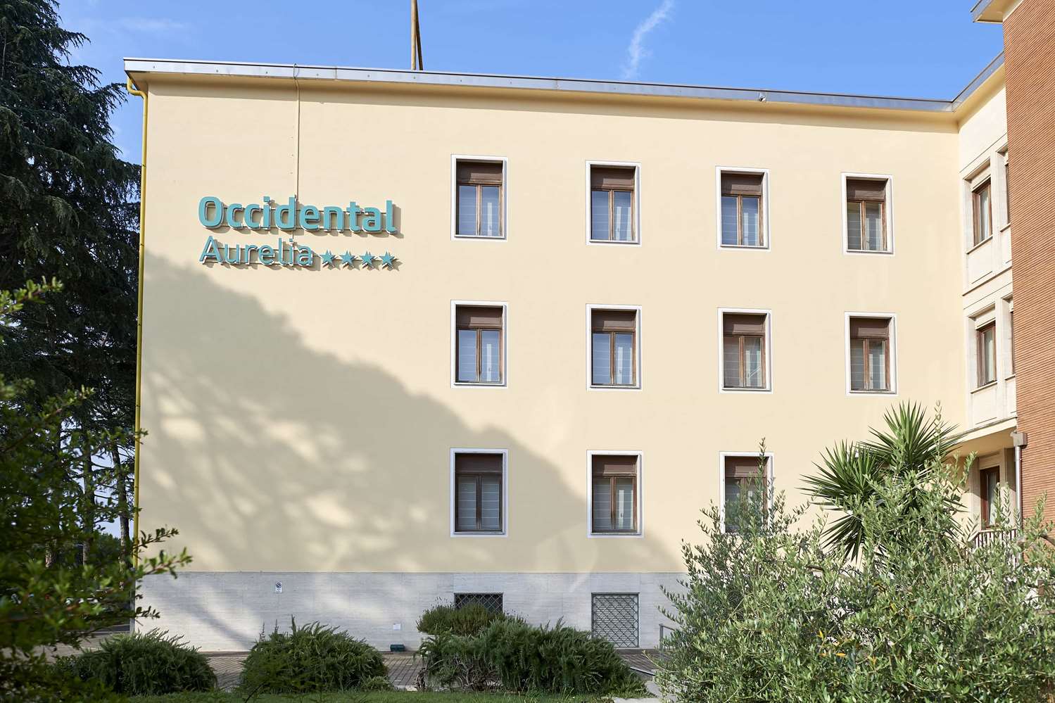 Occidental Aurelia 2