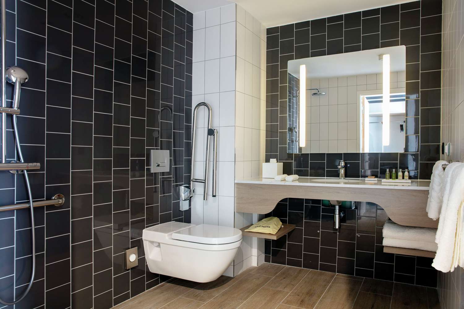 Queen Accessible Room