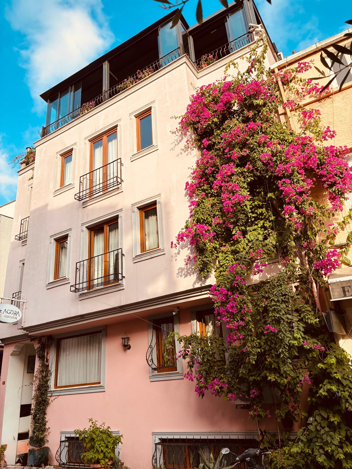 Agora Guesthouse 2