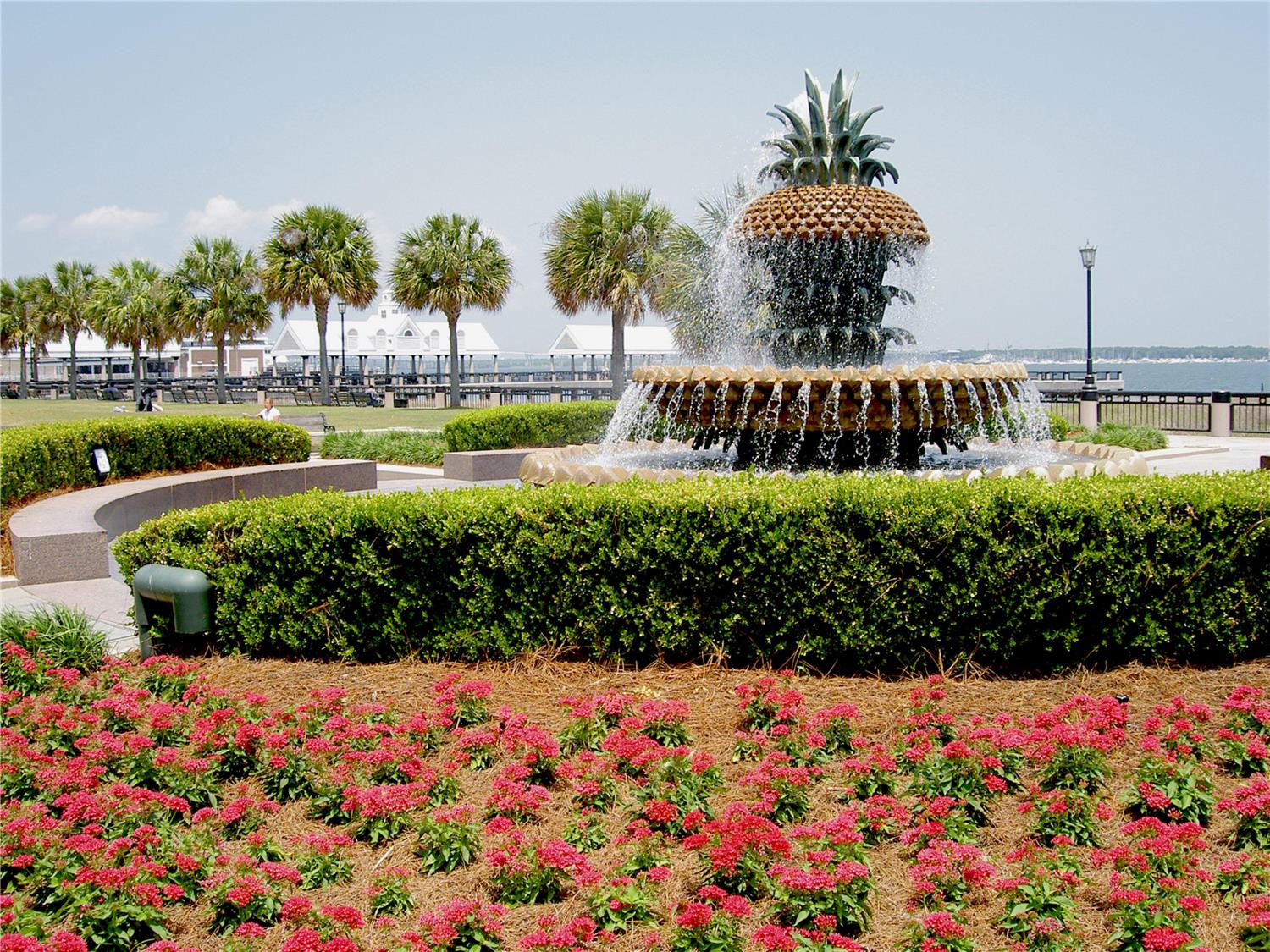 DoubleTree by Hilton Charleston Riverview 2
