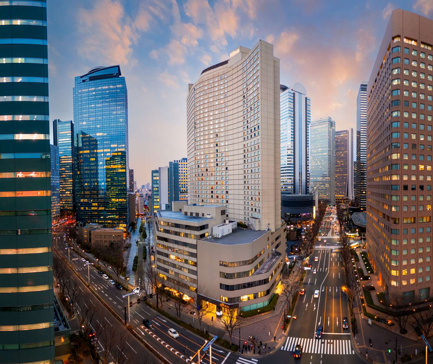 Hilton Tokyo Hotel 1