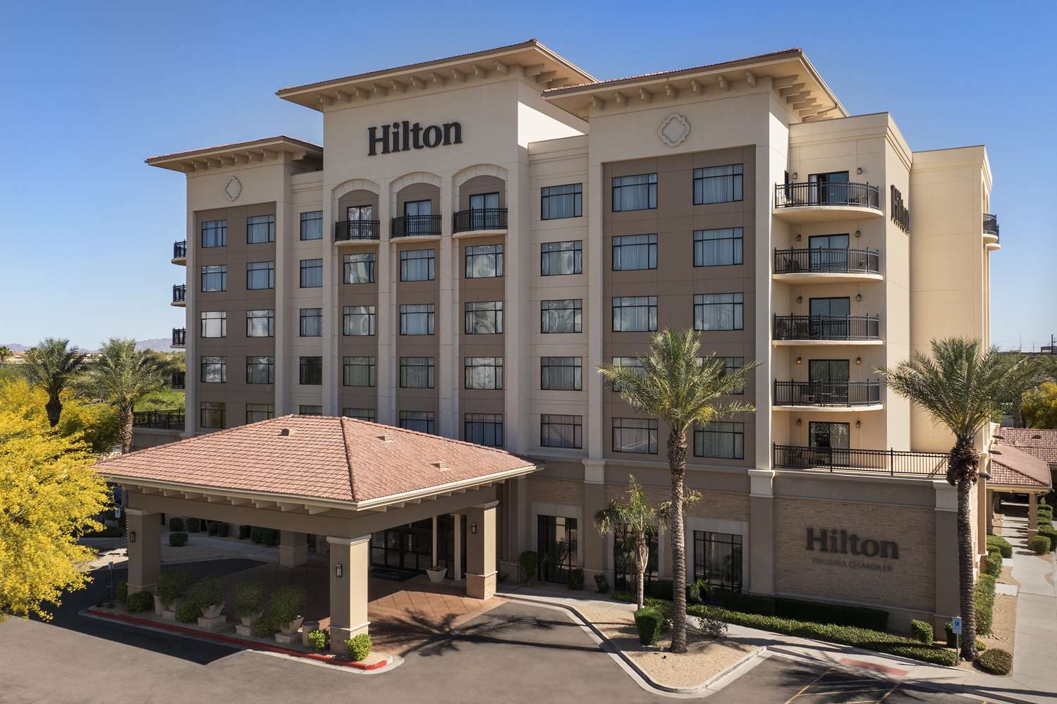 Hilton Phoenix Chandler 1