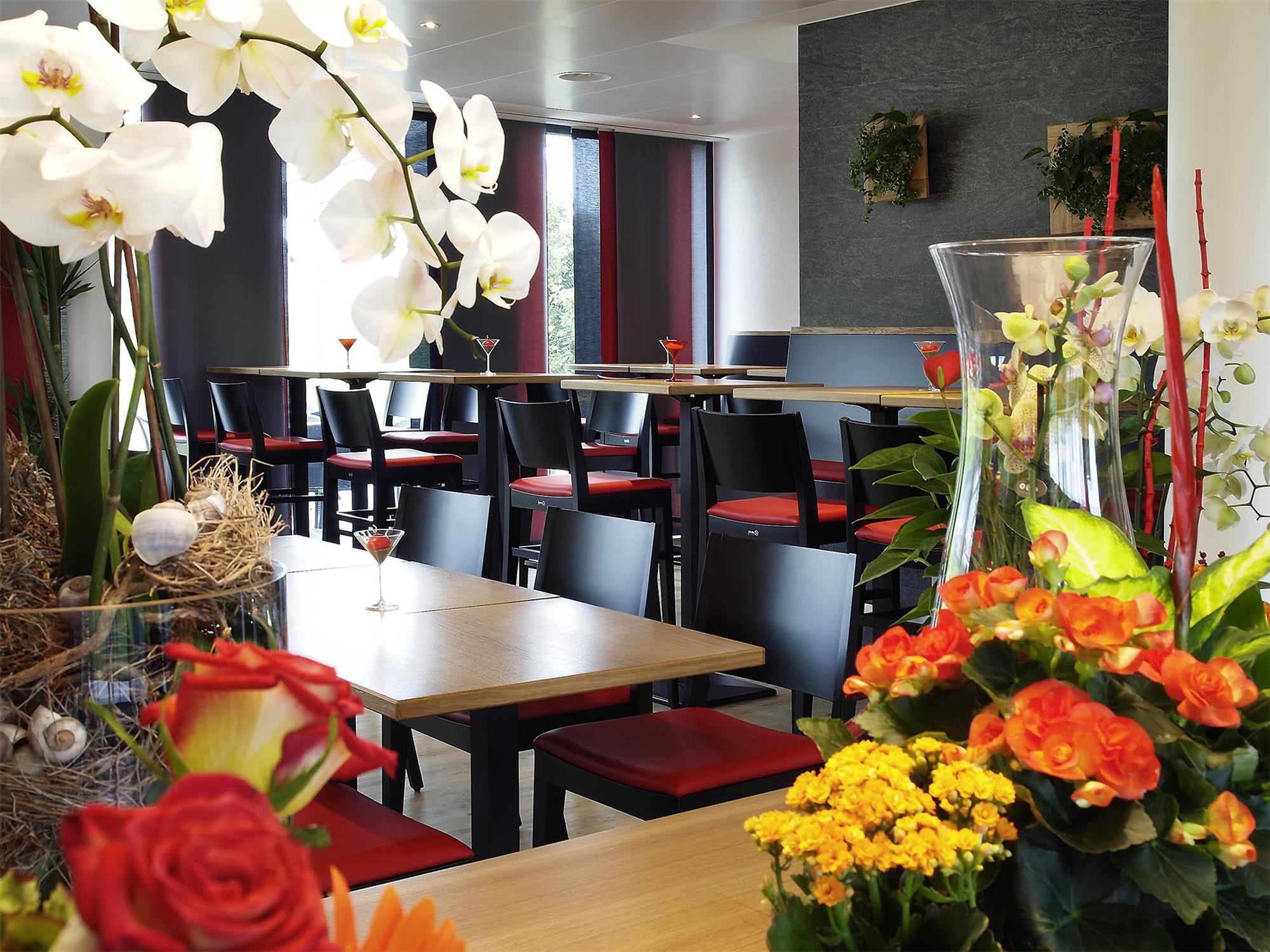 ibis Bulle La Gruyere 2
