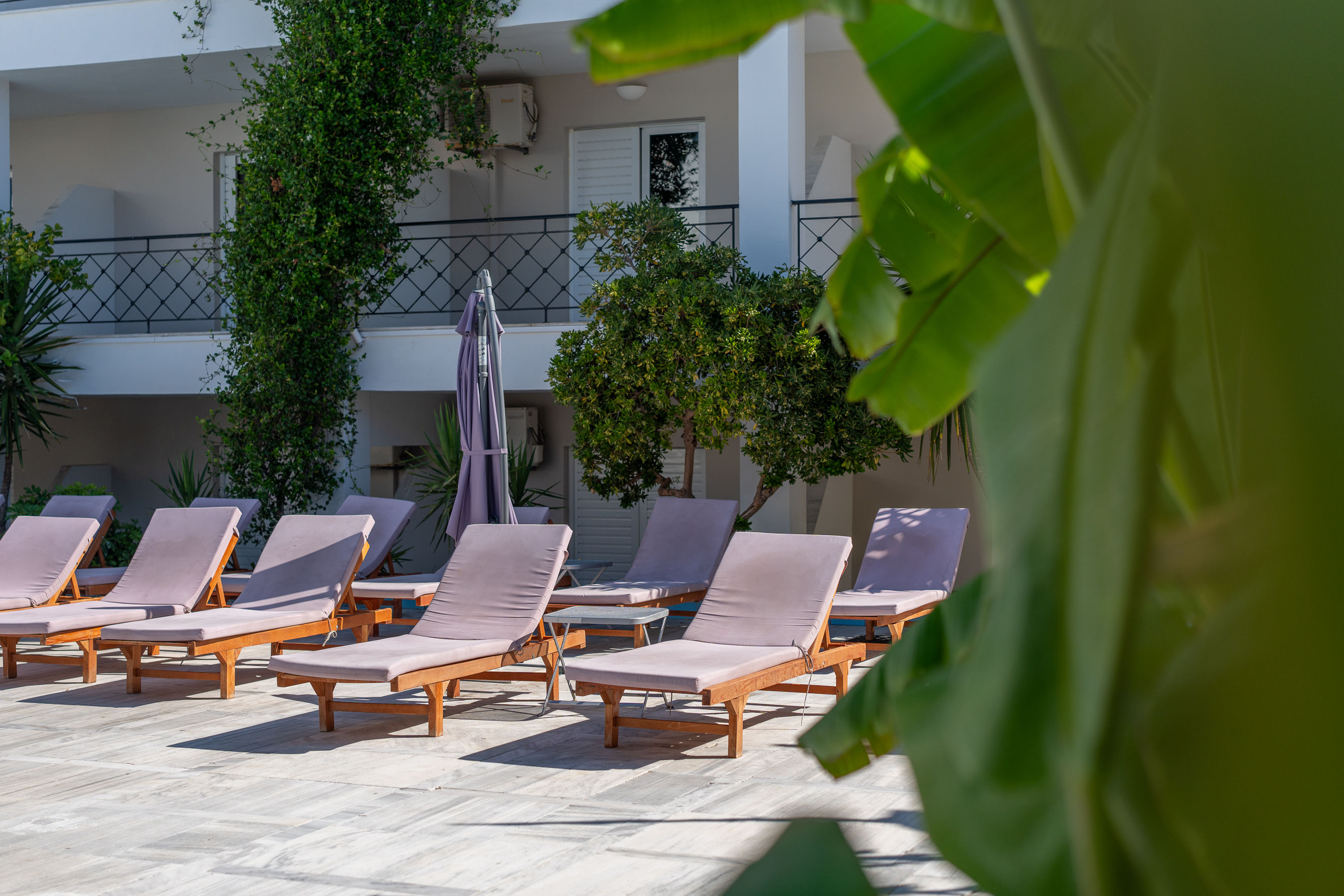 Mojo Hotel 2