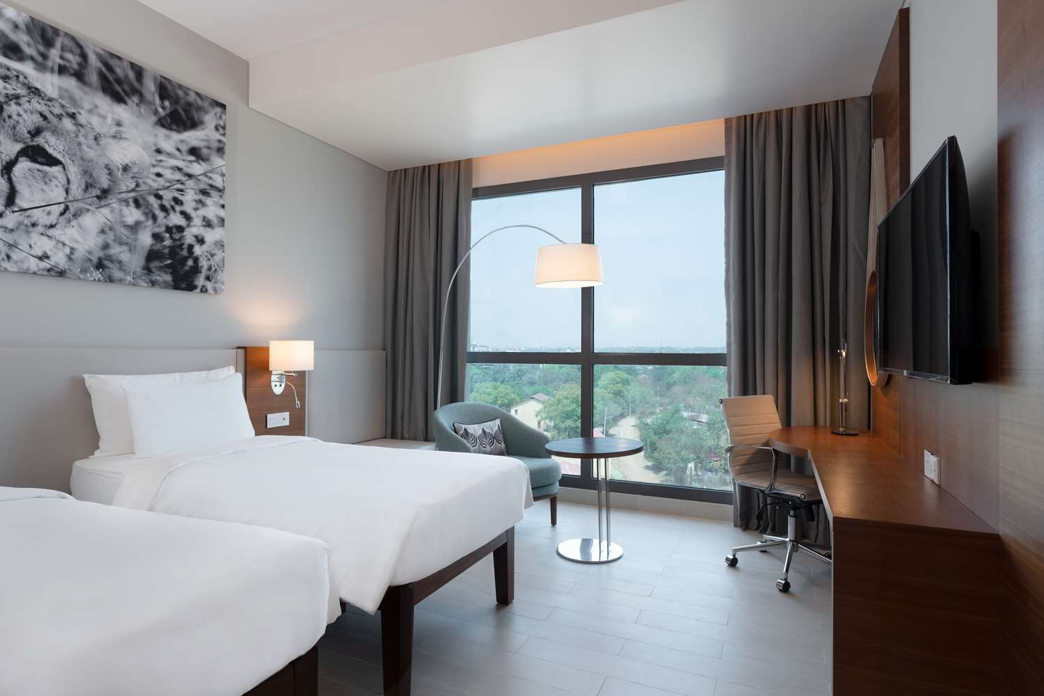 Suite, premium, acceso al salón