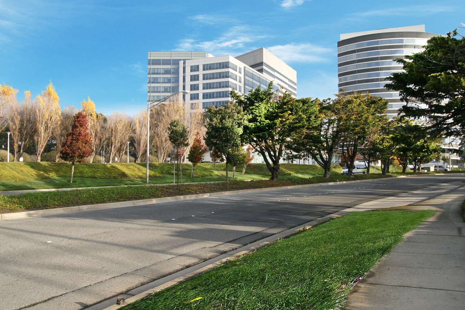 Hampton Inn San Francisco Airport 2