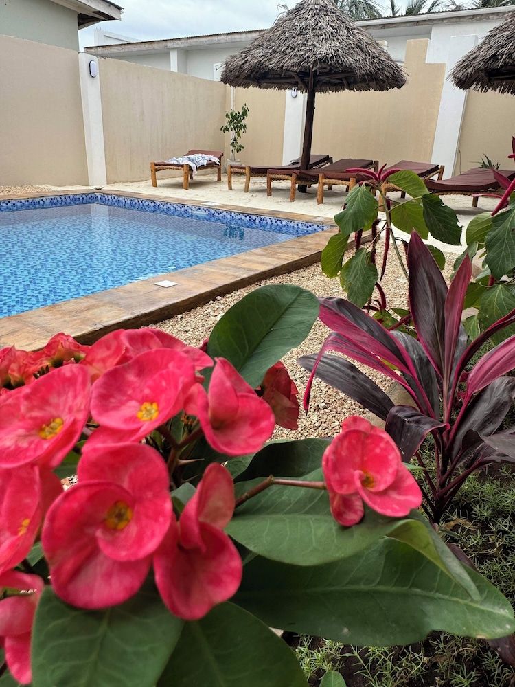 Bordeaux - Nungwi - Peace And Color Limited Guest House - Nungwi