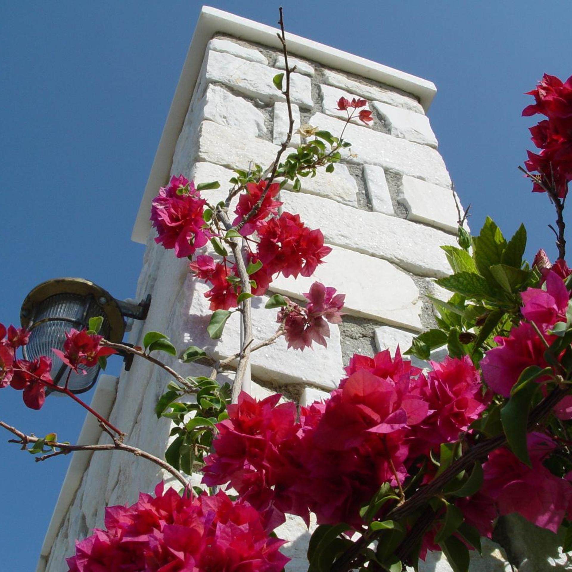 Anna Platanou Hotel Paros 1