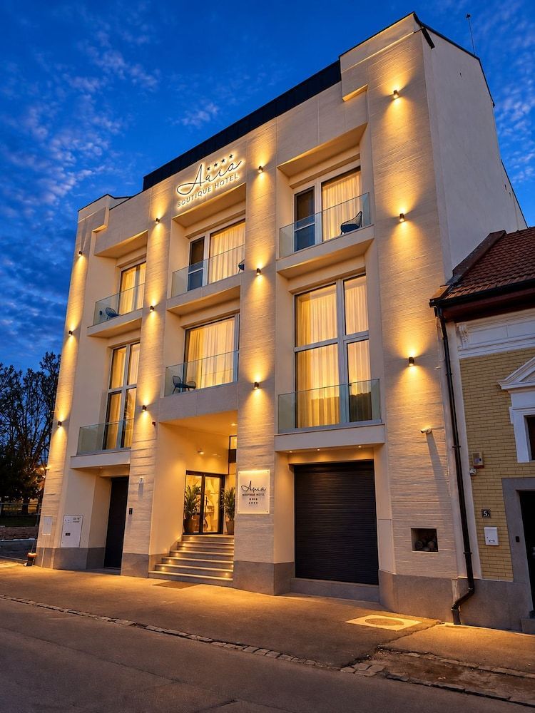 ARIS Boutique Hotel & SPA 1