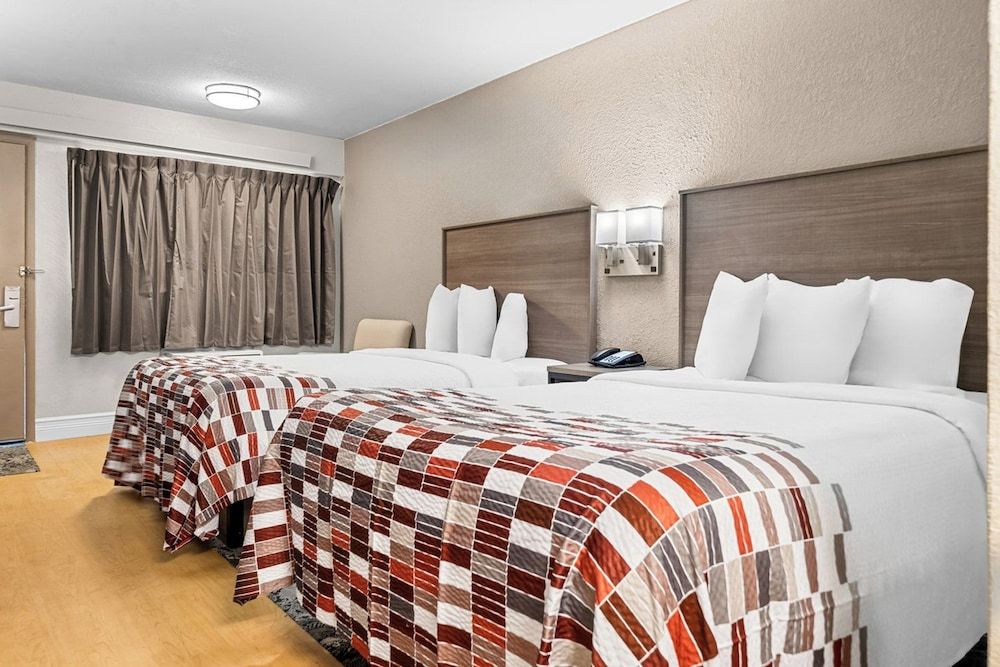 Red Roof Inn Tampa Fairgrounds - Casino 1
