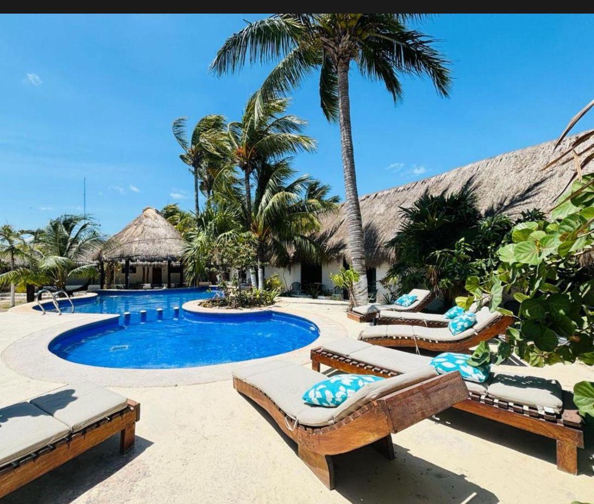 Mayan Mittoz 1