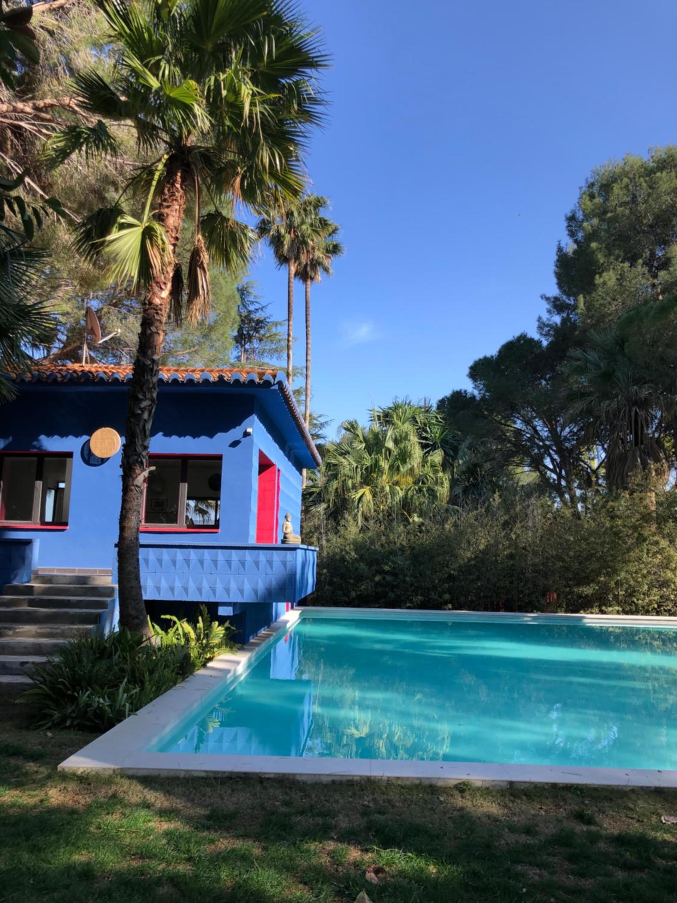 El botanico de Sagra 1