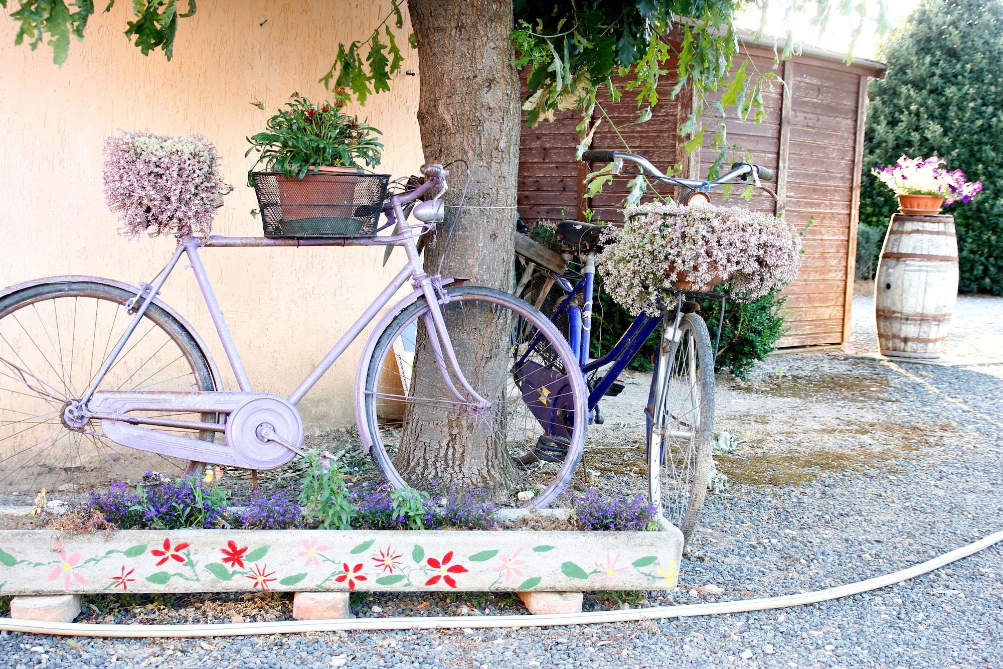 Agriturismo Al Vermigliano 1