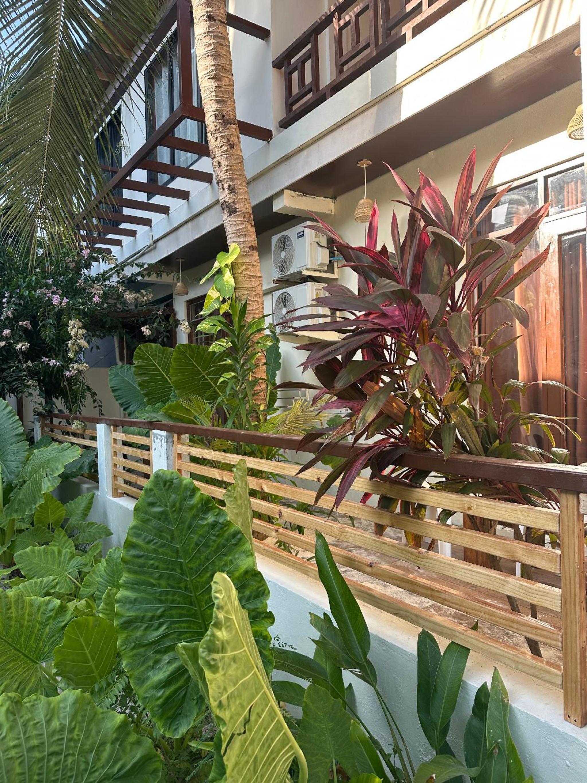 Bougainvillea Inn - Maldives 1