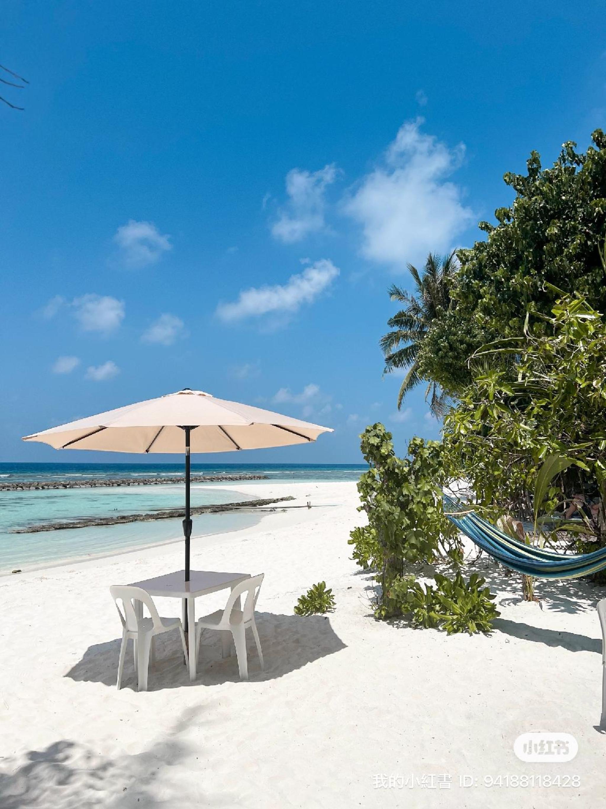 Bougainvillea Inn - Maldives 2